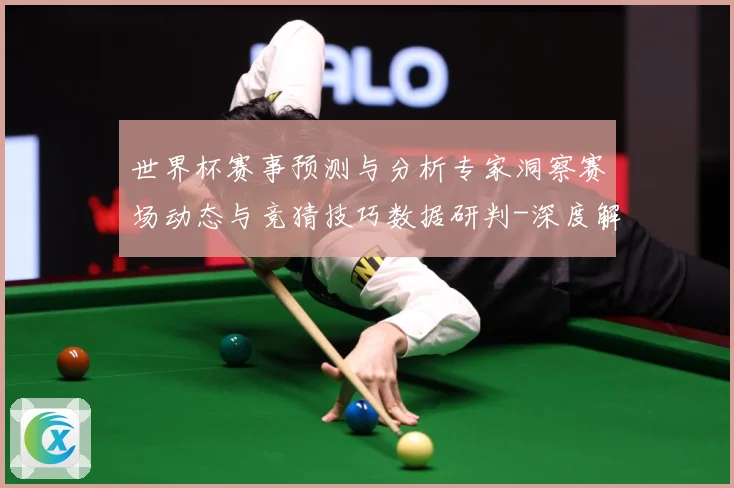 世界杯赛事预测与分析专家洞察赛场动态与竞猜技巧数据研判-深度解析