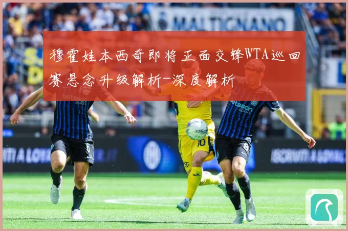 穆霍娃本西奇即将正面交锋WTA巡回赛悬念升级解析-深度解析